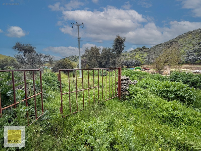 Evluck'tan Çakırbeyli'de 4.576 M2 Satılık Zeytinlik* — fotoğraf 8