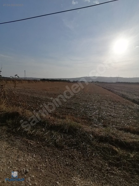 Silivri Çeltik'te 7850 M2 Tamamı Anlaşmalı Satılık Tarla — fotoğraf 7
