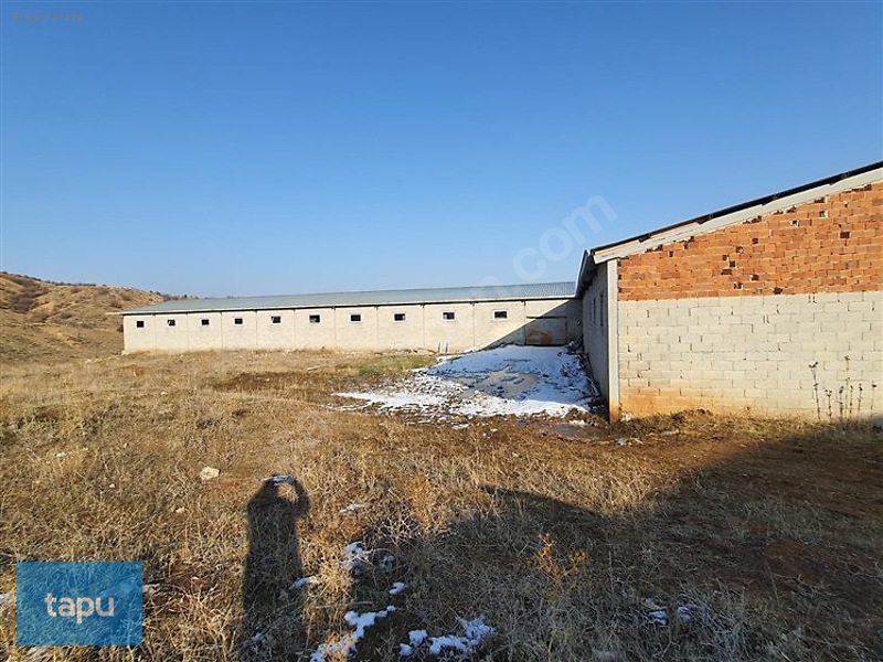 Gümüşhane Köse'de 3713 M2 Hazır Besi Çiftliği Ve Arsası — fotoğraf 2