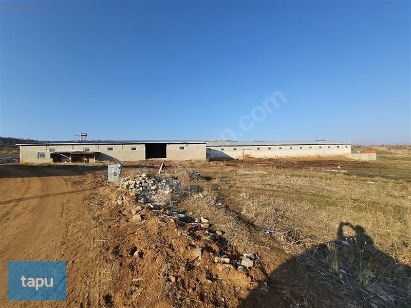 Gümüşhane Köse'de 3713 M2 Hazır Besi Çiftliği Ve Arsası — fotoğraf 3