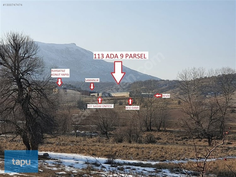Gümüşhane Köse'de 3713 M2 Hazır Besi Çiftliği Ve Arsası — fotoğraf 7