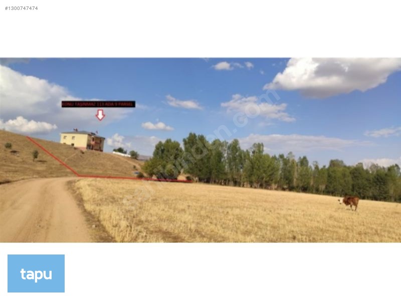 Gümüşhane Köse'de 3713 M2 Hazır Besi Çiftliği Ve Arsası — fotoğraf 10