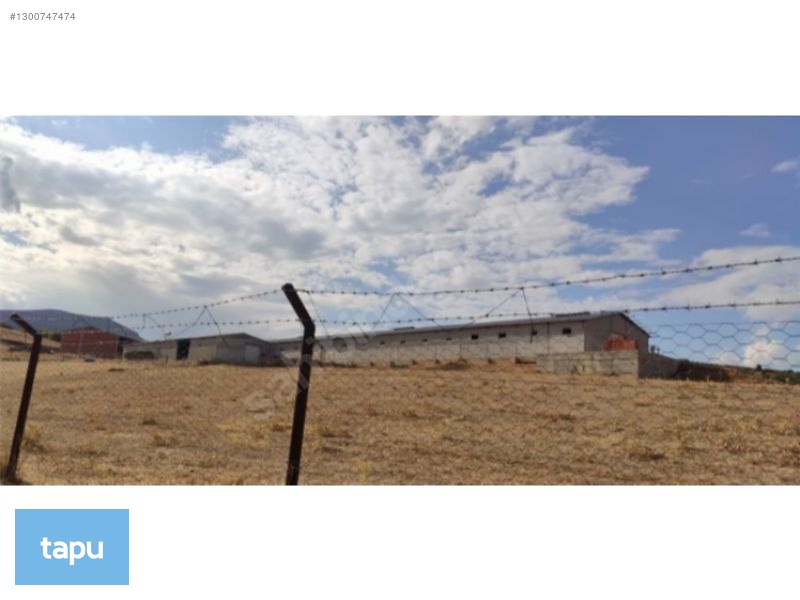 Gümüşhane Köse'de 3713 M2 Hazır Besi Çiftliği Ve Arsası — fotoğraf 11