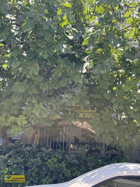 Bornova Kızılay Mahallesi 2+1 Doğalgazlı Eşyalı Kiralık Daire — fotoğraf 7
