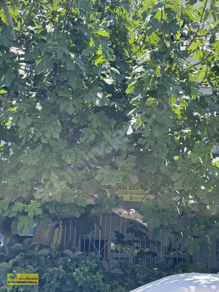 Bornova Kızılay Mahallesi 2+1 Doğalgazlı Eşyalı Kiralık Daire — fotoğraf 8