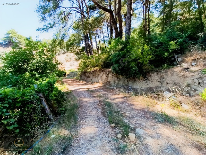 Kemalpaşa Yukarı Kızılcada Merkeze Çok Yakın Arazi — fotoğraf 4