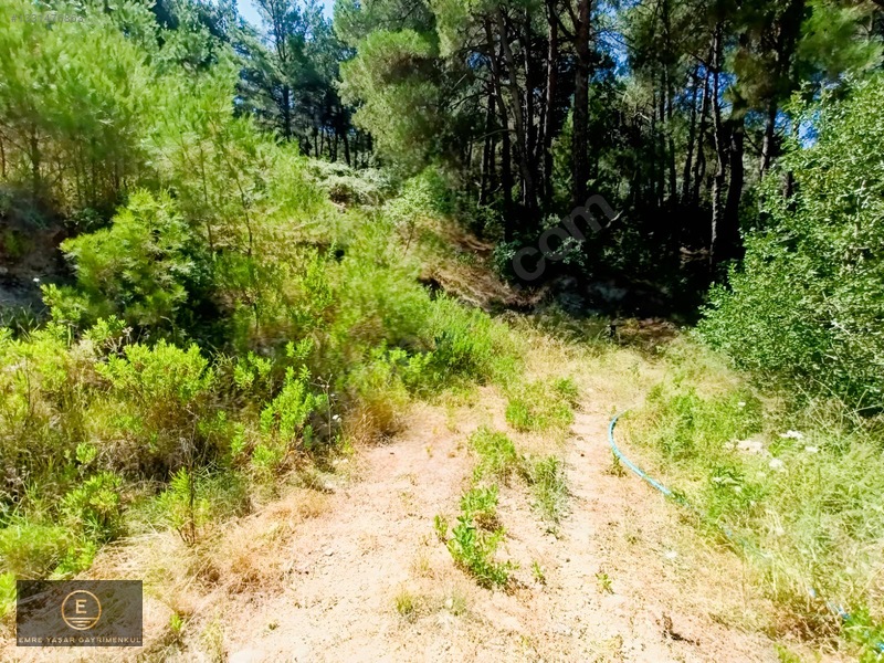 Kemalpaşa Yukarı Kızılcada Merkeze Çok Yakın Arazi — fotoğraf 6