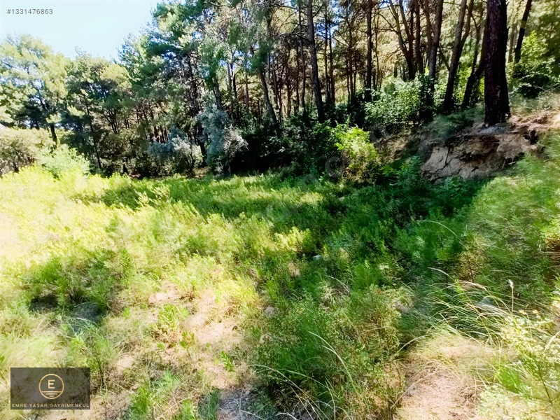 Kemalpaşa Yukarı Kızılcada Merkeze Çok Yakın Arazi — fotoğraf 16