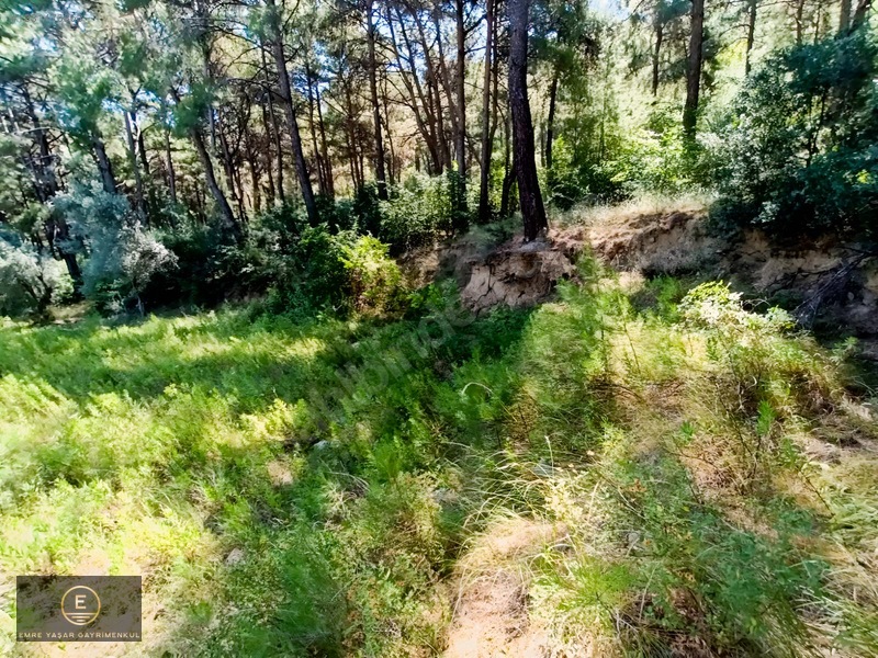 Kemalpaşa Yukarı Kızılcada Merkeze Çok Yakın Arazi — fotoğraf 17