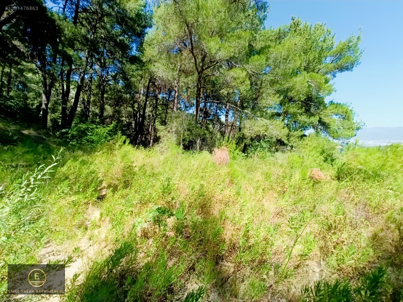 Kemalpaşa Yukarı Kızılcada Merkeze Çok Yakın Arazi — fotoğraf 19