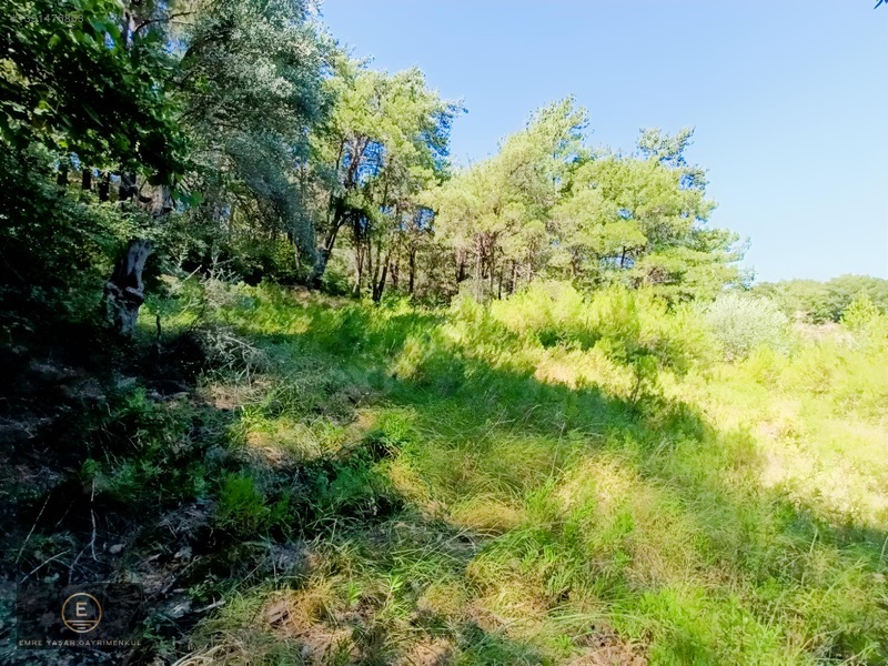 Kemalpaşa Yukarı Kızılcada Merkeze Çok Yakın Arazi — fotoğraf 27