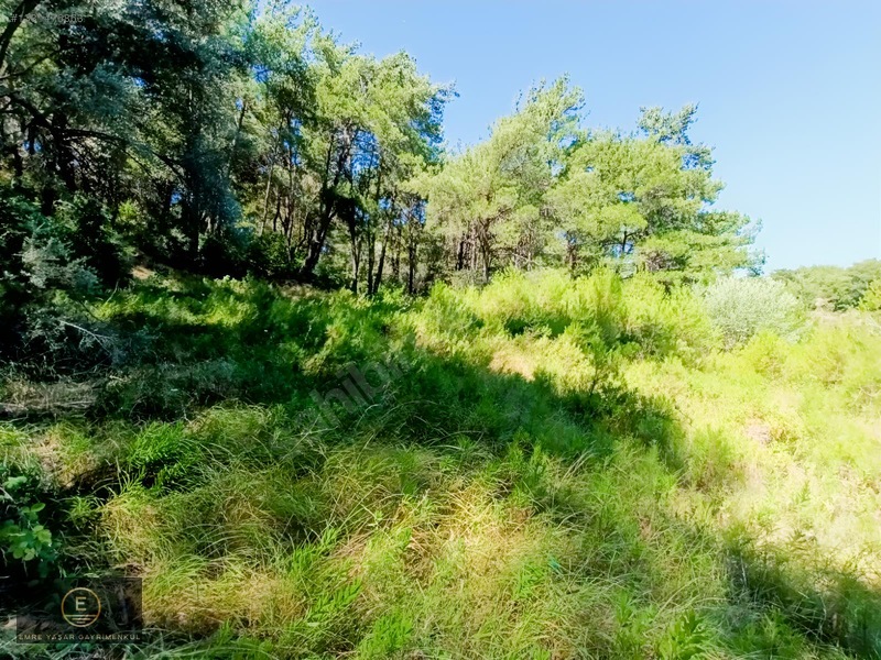 Kemalpaşa Yukarı Kızılcada Merkeze Çok Yakın Arazi — fotoğraf 28
