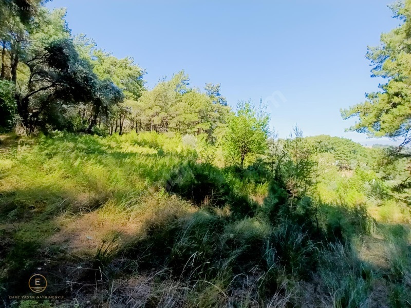 Kemalpaşa Yukarı Kızılcada Merkeze Çok Yakın Arazi — fotoğraf 31