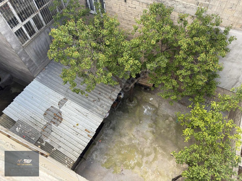Şeften Perilikayada 3 Katlıçok Geniş Yapı Kayıtlı 4+1 — fotoğraf 25