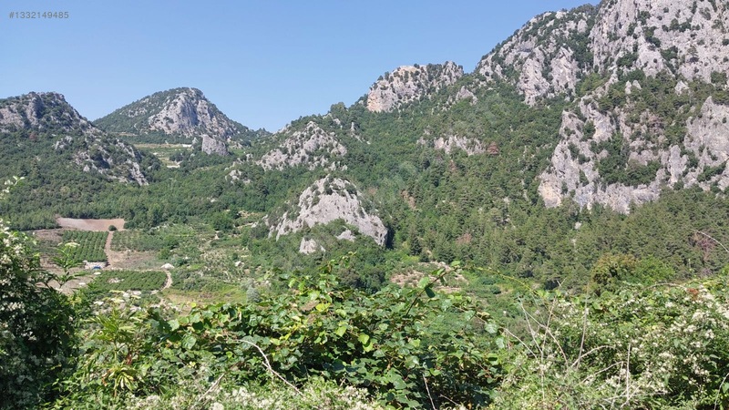 Çağlarcada Satlık 2.363.m² Kivi Bahçesi — fotoğraf 7