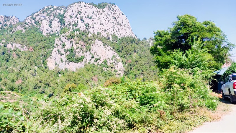 Çağlarcada Satlık 2.363.m² Kivi Bahçesi — fotoğraf 8