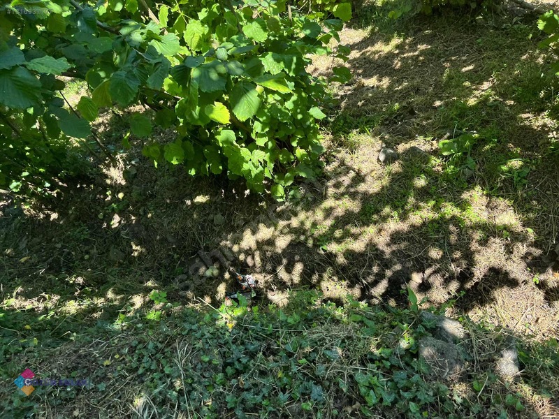 Çözüm Emlaktan Ordu Perşembe Bolatlı Mah.satılık Fındık Bahçesi — fotoğraf 10