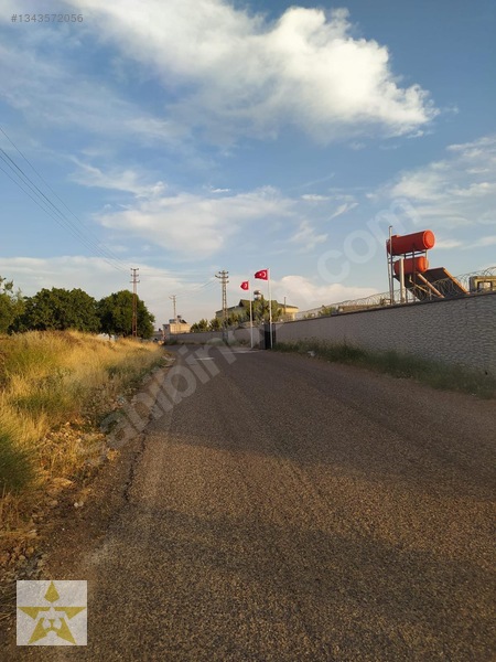 Royalest'ten Oldukça Geniş Lüks Yapıda Havuzlu Villa — fotoğraf 8