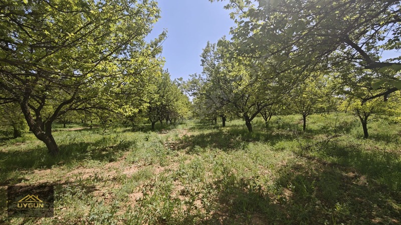 Kendirlide Satılık Villası Yapılı 3150m2 İçersinde Satılık Bahçe — fotoğraf 33