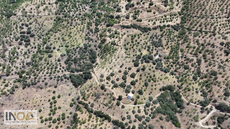Nazilli Kızıldere'de 9.046 M² İncir Bahçesi — fotoğraf 4