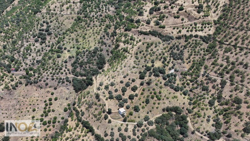 Nazilli Kızıldere'de 9.046 M² İncir Bahçesi — fotoğraf 5