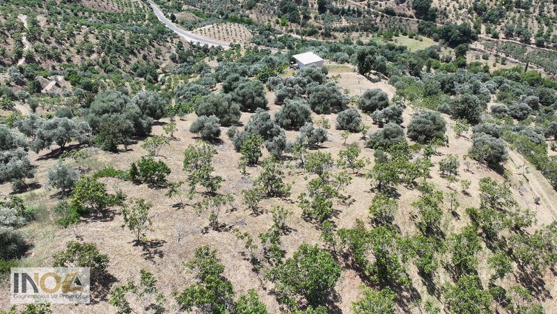 Nazilli Kızıldere'de 9.046 M² İncir Bahçesi — fotoğraf 10