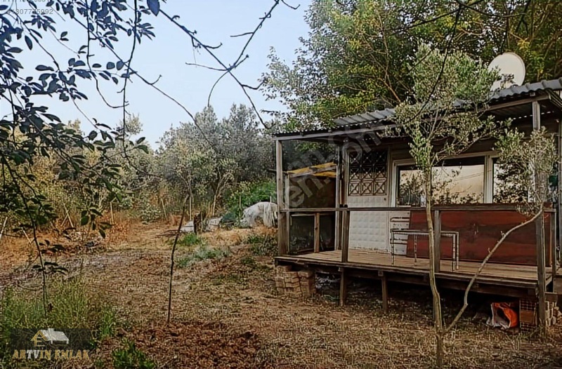 Mudanya Yalıçiftlik'te Satılık 211m² Zeytinlik / Hobi Bahçesi — fotoğraf 3