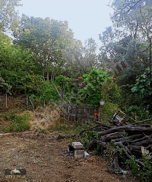 Mudanya Yalıçiftlik'te Satılık 211m² Zeytinlik / Hobi Bahçesi — fotoğraf 4
