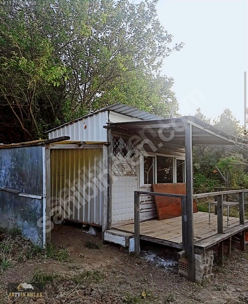 Mudanya Yalıçiftlik'te Satılık 211m² Zeytinlik / Hobi Bahçesi — fotoğraf 5