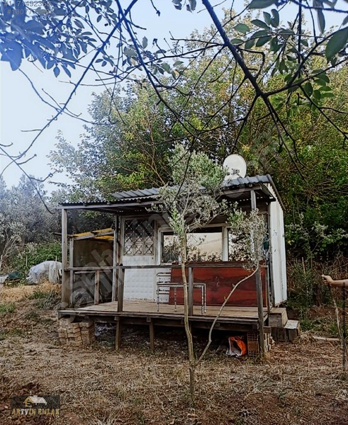 Mudanya Yalıçiftlik'te Satılık 211m² Zeytinlik / Hobi Bahçesi — fotoğraf 8