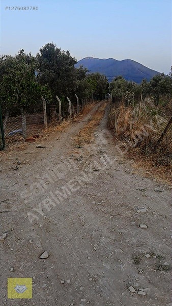 Acill!!! Fiyat Düştü!! Kemalpaşa Vişneli Köyde Muhteşem Kirazlık — fotoğraf 2