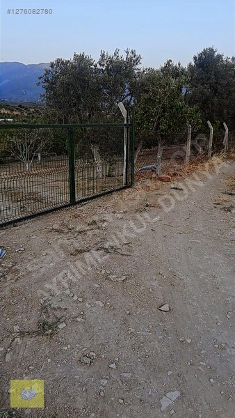 Acill!!! Fiyat Düştü!! Kemalpaşa Vişneli Köyde Muhteşem Kirazlık — fotoğraf 3