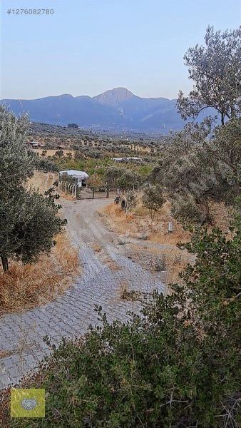 Acill!!! Fiyat Düştü!! Kemalpaşa Vişneli Köyde Muhteşem Kirazlık — fotoğraf 17