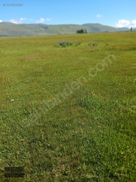 Örs Emlakçım Dan Satılık Tarla — fotoğraf 5