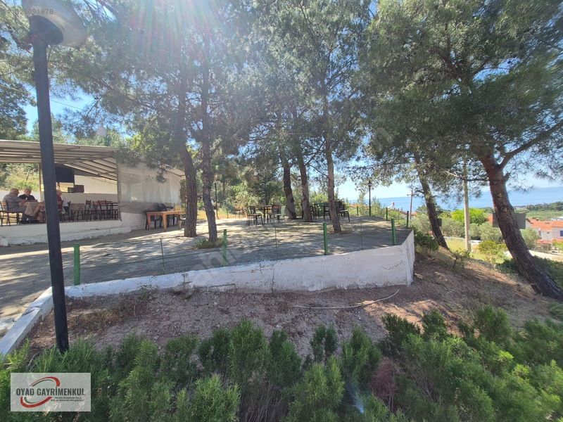 Ezine Tavaklı Tomurcuk Sitesi Tripleks Satılık Yazlık — fotoğraf 30