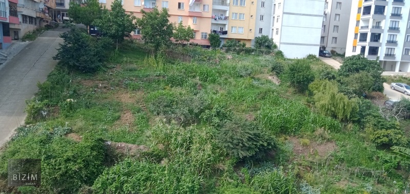 Ünye Merkezde Site Yapımına Müsait 40 Dairelik Satılık Arsa.. — fotoğraf 14