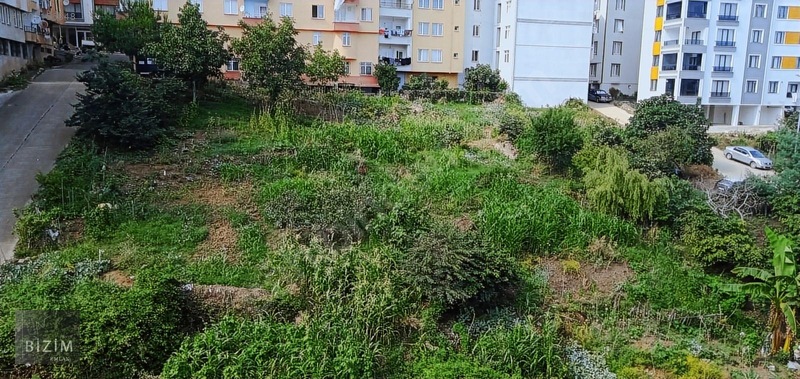 Ünye Merkezde Site Yapımına Müsait 40 Dairelik Satılık Arsa.. — fotoğraf 15