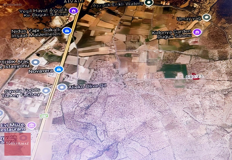 Doğayla İç İçe, 2312m² Zeytinlik Satılık - İzmir Asfaltına Yakın — fotoğraf 6
