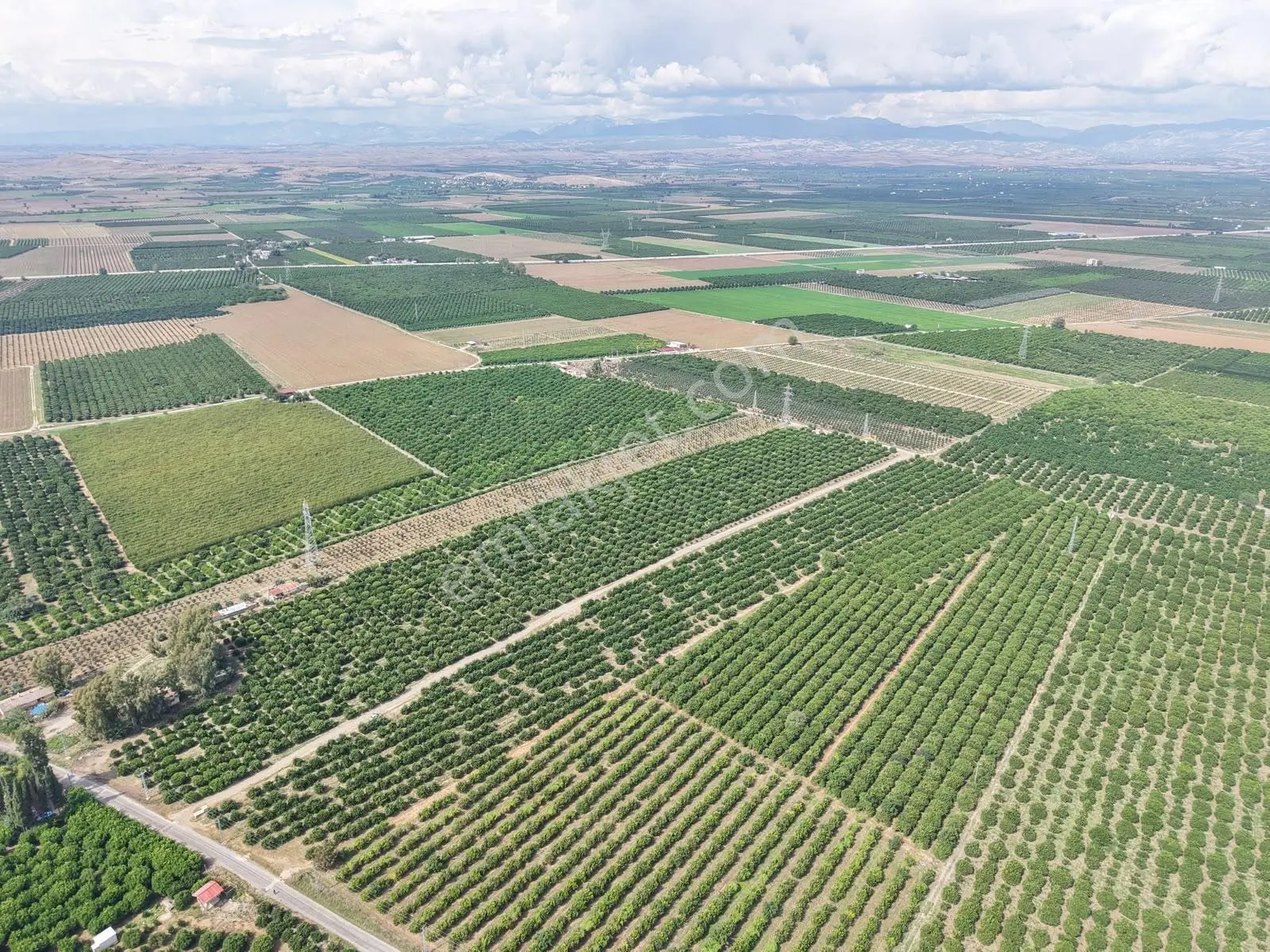 Kozan Gayrimenkulden Adana Anayoluna Yakın Bakımlı Bahçe