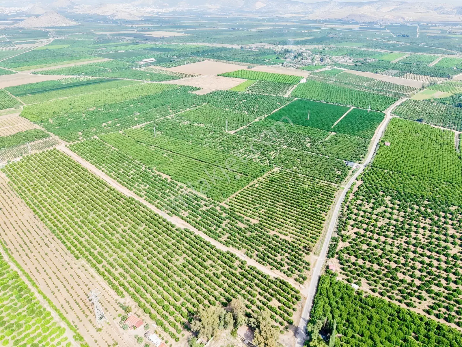 Kozan Gayrimenkulden Adana Anayoluna Yakın Bakımlı Bahçe — fotoğraf 17