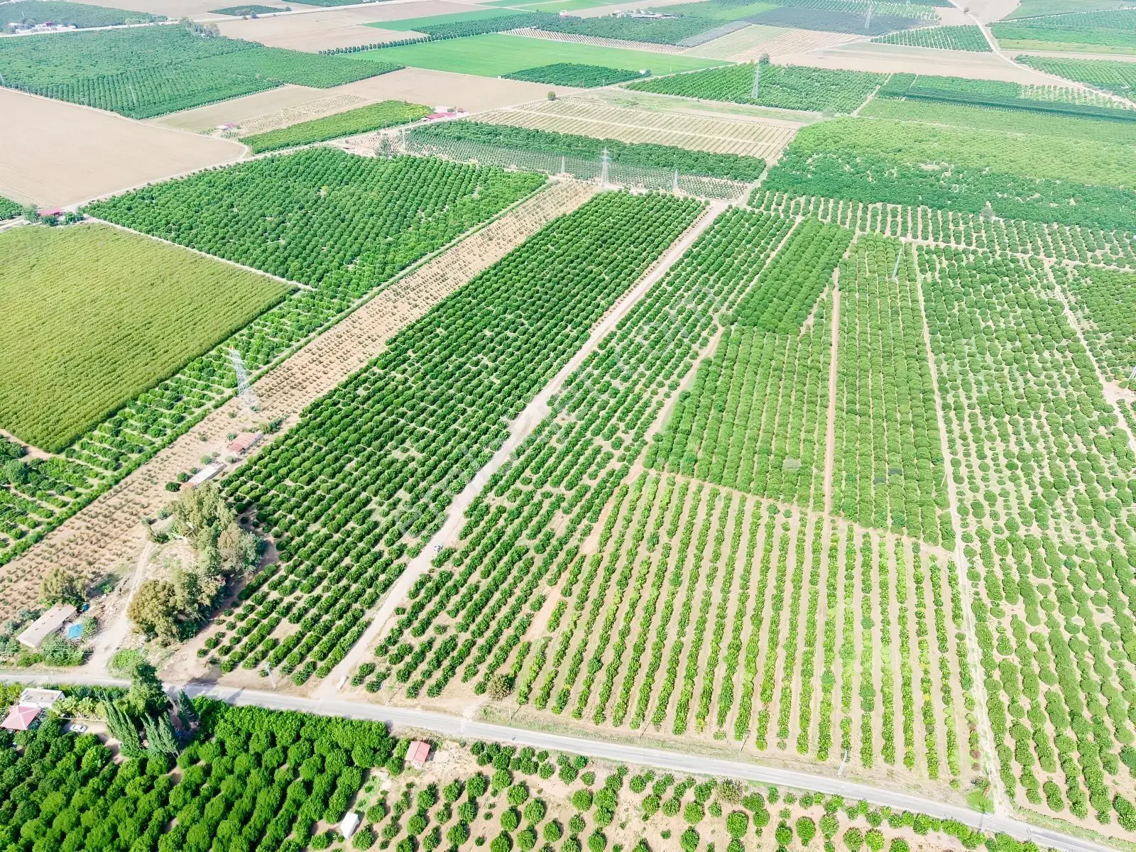 Kozan Gayrimenkulden Adana Anayoluna Yakın Bakımlı Bahçe — fotoğraf 18