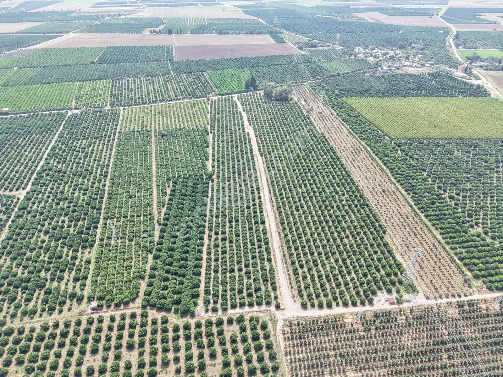 Kozan Gayrimenkulden Adana Anayoluna Yakın Bakımlı Bahçe — fotoğraf 23