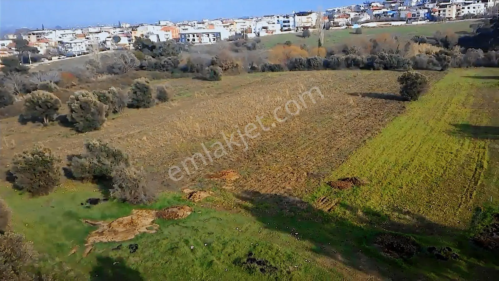 Kemalpaşa Örnekköyde Satılık İmara Yakın 23 Dönüm Tarla