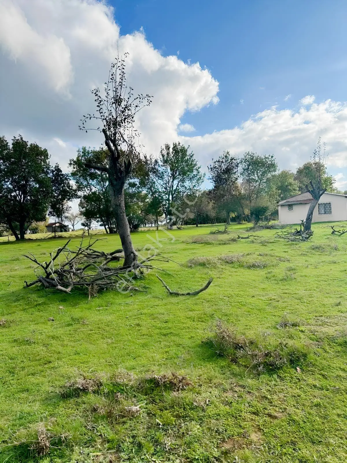 İğneada Demirköy Beğendik'te Satılık 9600 M² Tarla Denize 4km — fotoğraf 6