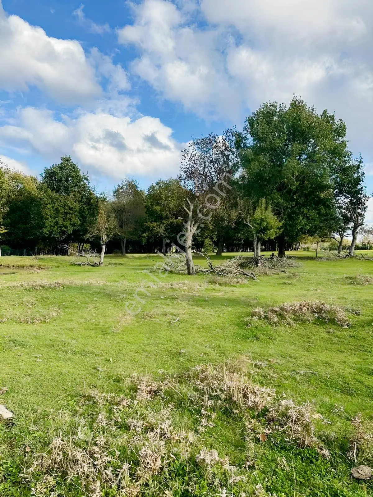 İğneada Demirköy Beğendik'te Satılık 9600 M² Tarla Denize 4km — fotoğraf 7