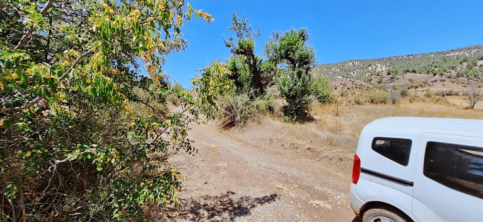 Bolu Göynük Hasanlar Köyünde Resmi Yolu Olan Satılık 2416m2 Arsa — fotoğraf 4