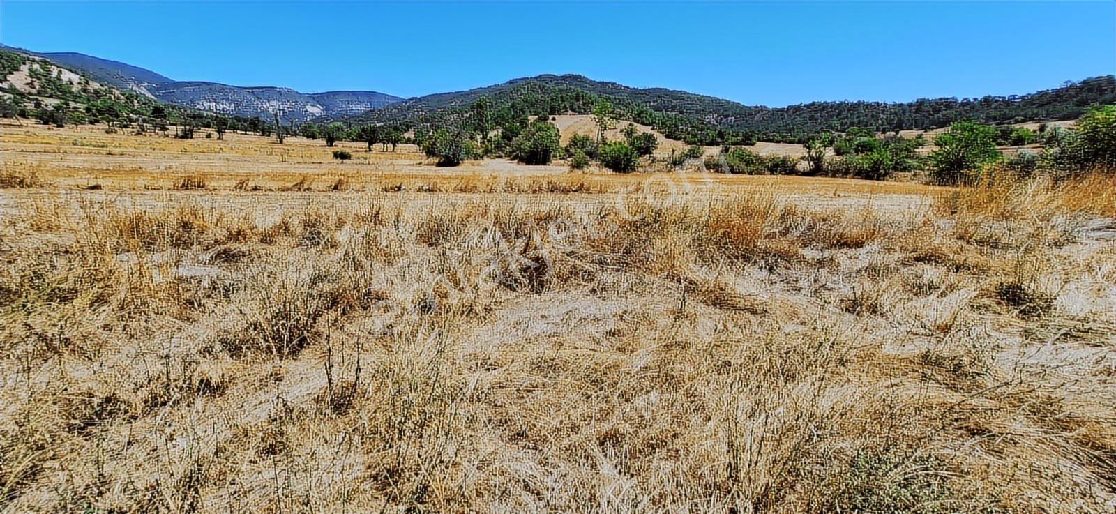 Bolu Göynük Hasanlar Köyünde Resmi Yolu Olan Satılık 2416m2 Arsa — fotoğraf 5