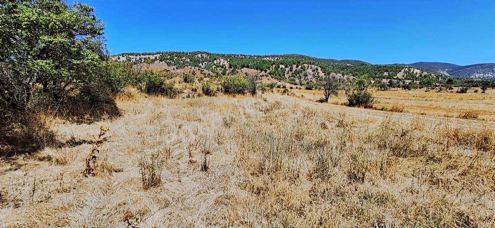 Bolu Göynük Hasanlar Köyünde Resmi Yolu Olan Satılık 2416m2 Arsa — fotoğraf 6