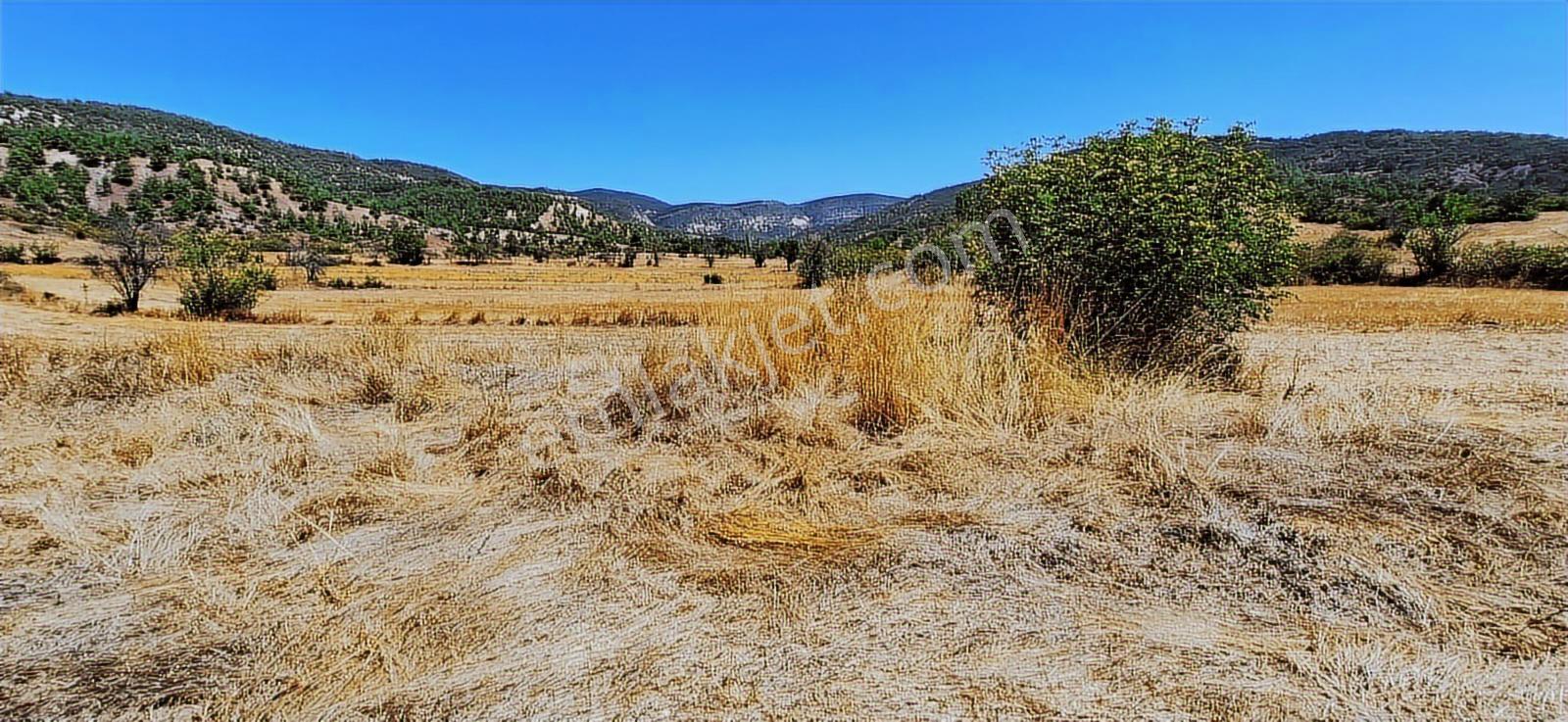 Bolu Göynük Hasanlar Köyünde Resmi Yolu Olan Satılık 2416m2 Arsa — fotoğraf 7