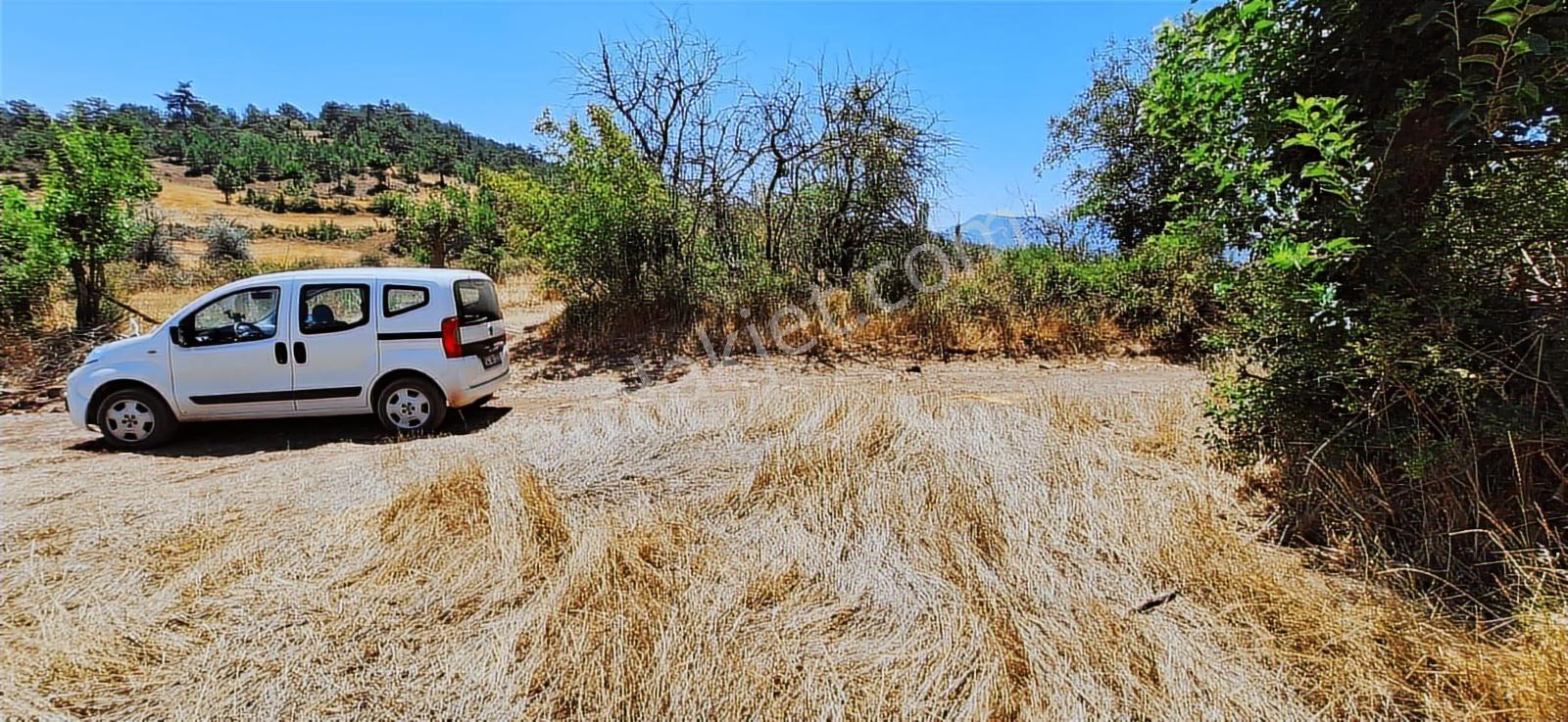 Bolu Göynük Hasanlar Köyünde Resmi Yolu Olan Satılık 2416m2 Arsa — fotoğraf 8